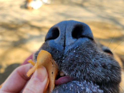 슬라이드 이미지