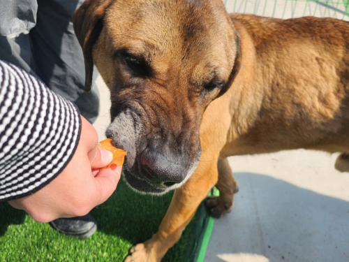 슬라이드 이미지