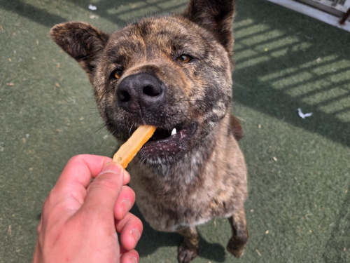 슬라이드 이미지