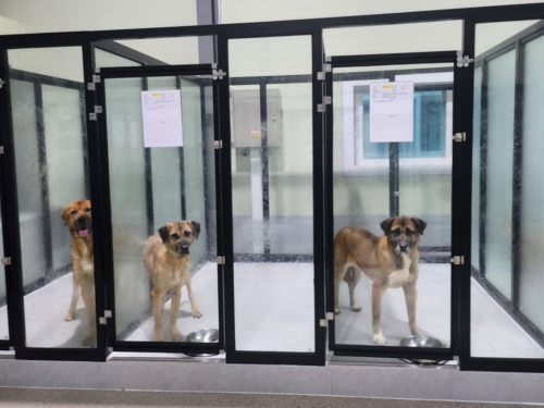 슬라이드 이미지