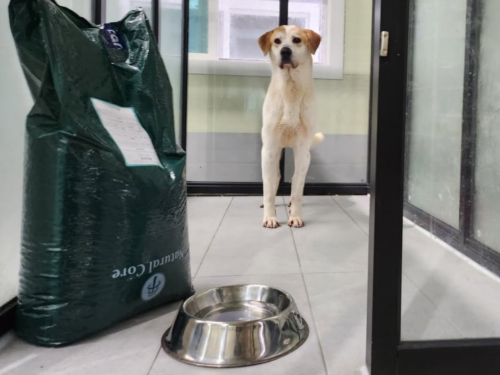 슬라이드 이미지