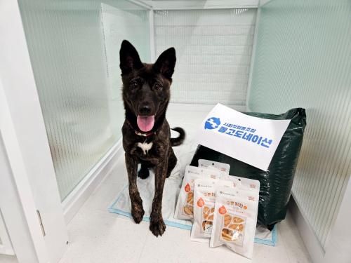 슬라이드 이미지