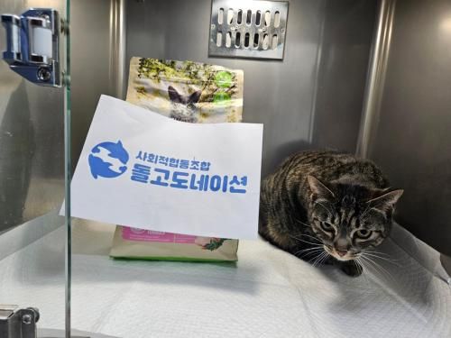 슬라이드 이미지