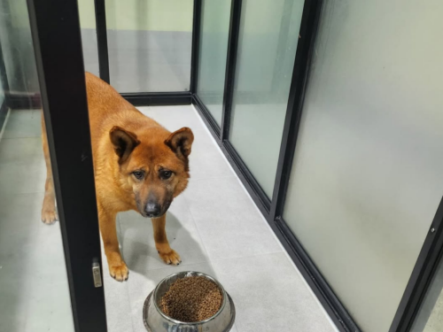 슬라이드 이미지