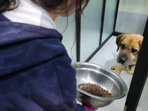 슬라이드 이미지