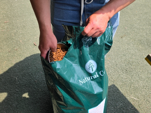 슬라이드 이미지