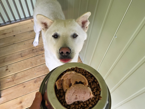 슬라이드 이미지