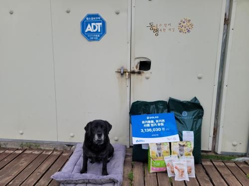 슬라이드 이미지