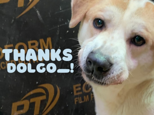 슬라이드 이미지