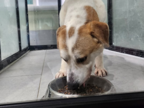 슬라이드 이미지