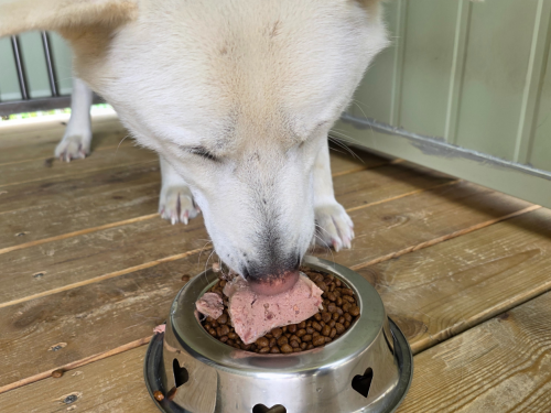 슬라이드 이미지