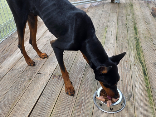 슬라이드 이미지