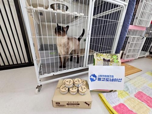 슬라이드 이미지