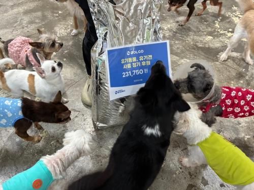 슬라이드 이미지