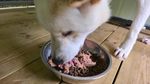 슬라이드 이미지