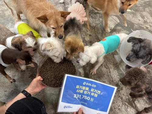 슬라이드 이미지