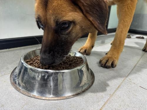 슬라이드 이미지