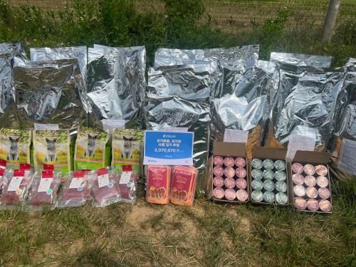 슬라이드 이미지