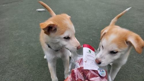 슬라이드 이미지