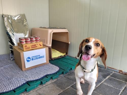 슬라이드 이미지