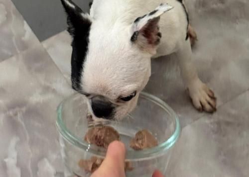 슬라이드 이미지