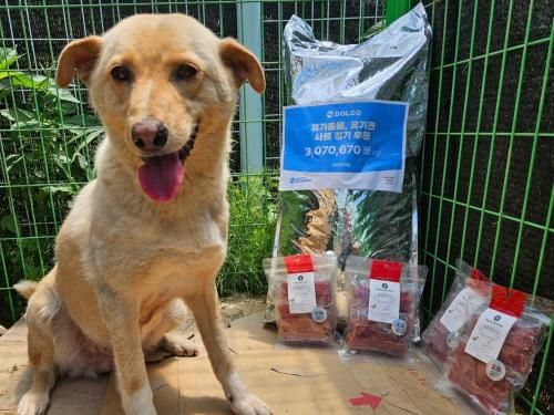 슬라이드 이미지