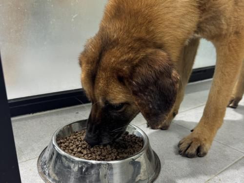 슬라이드 이미지