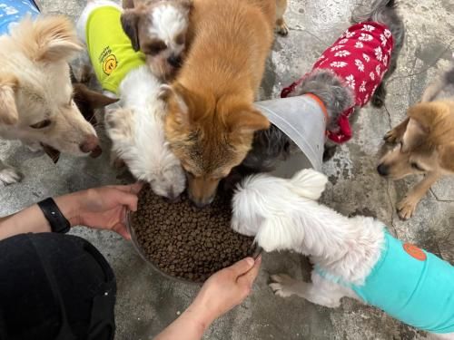 슬라이드 이미지