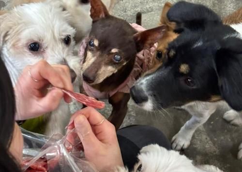 슬라이드 이미지