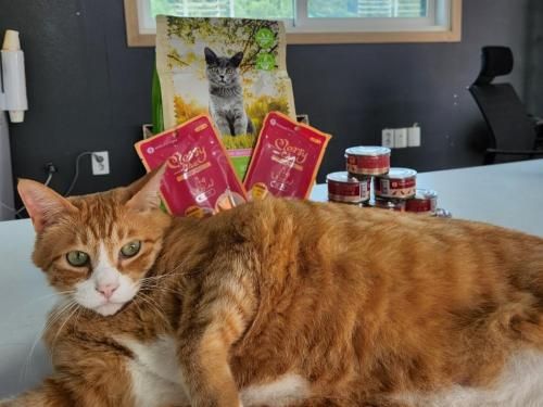 슬라이드 이미지