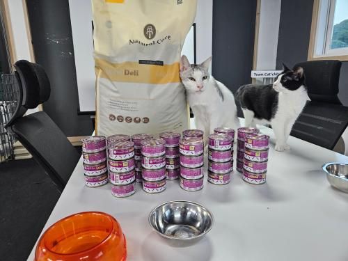 슬라이드 이미지