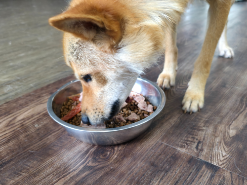 슬라이드 이미지