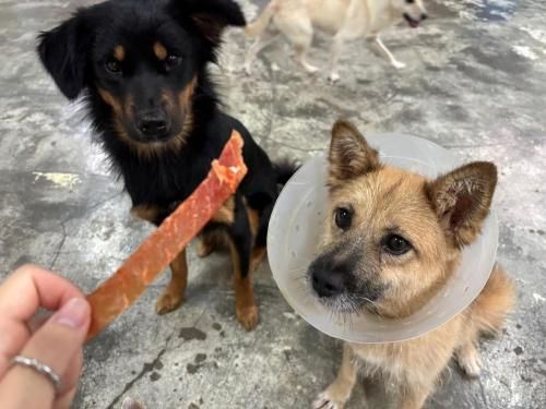 슬라이드 이미지