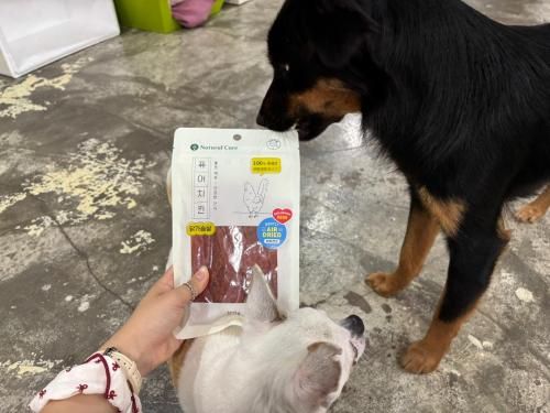 슬라이드 이미지