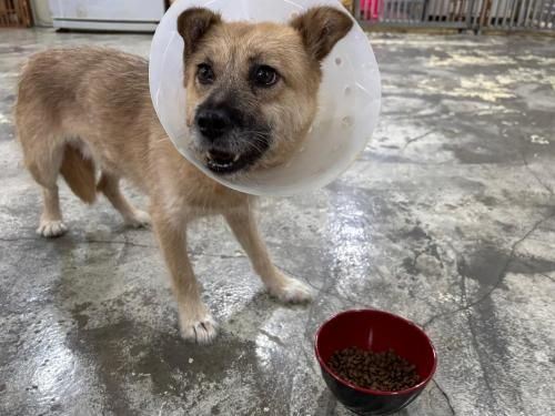 슬라이드 이미지