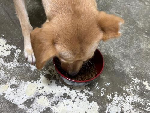 슬라이드 이미지