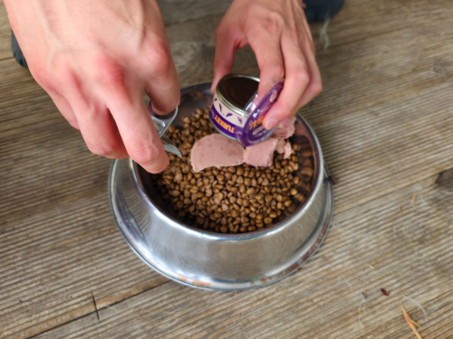 슬라이드 이미지