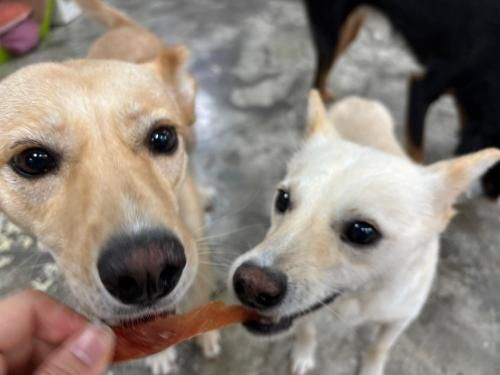 슬라이드 이미지