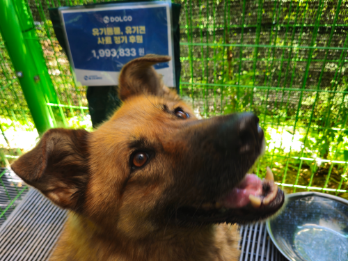 슬라이드 이미지