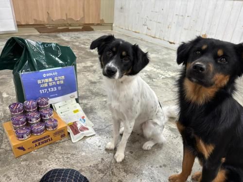 슬라이드 이미지