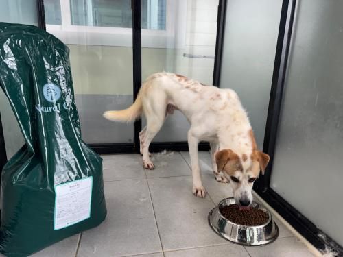 슬라이드 이미지