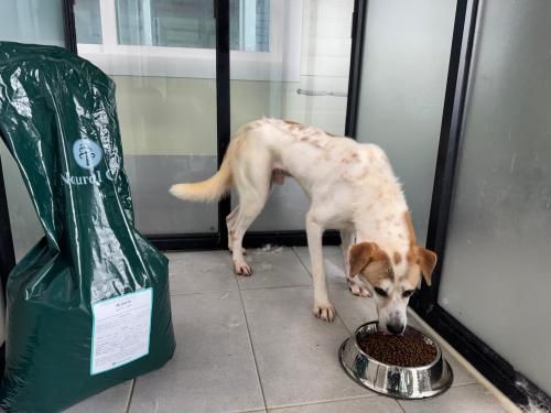 슬라이드 이미지