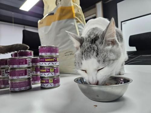 슬라이드 이미지