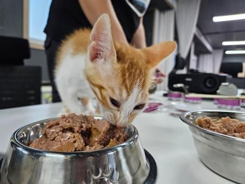 슬라이드 이미지