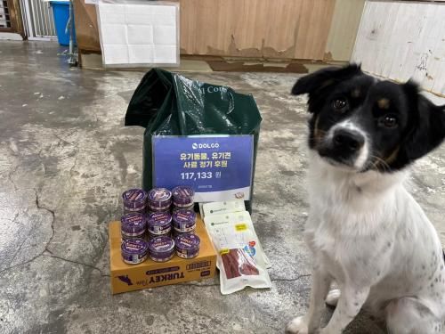 슬라이드 이미지