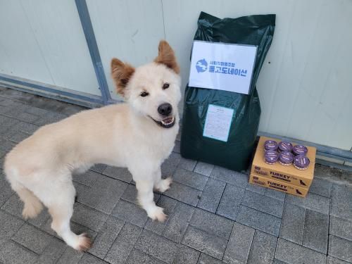 슬라이드 이미지