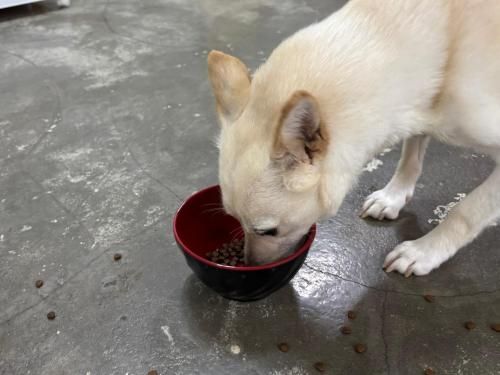 슬라이드 이미지