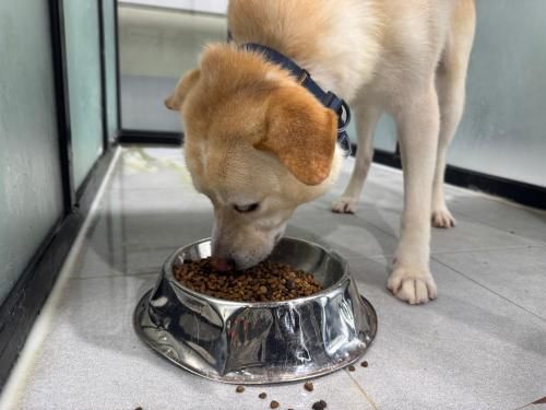 슬라이드 이미지