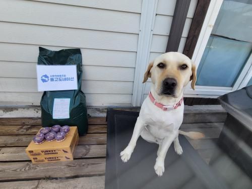 슬라이드 이미지