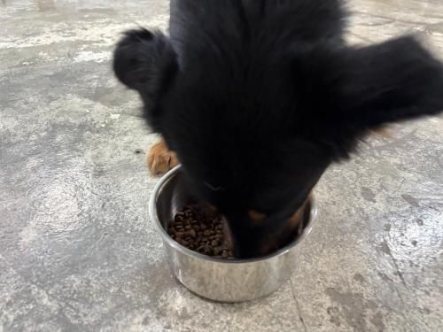 슬라이드 이미지